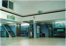 Vacante Maurizio