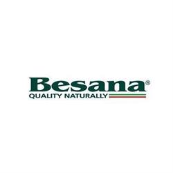 V. Besana SPA