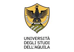 Universita' Degli Studi Dell'aquila