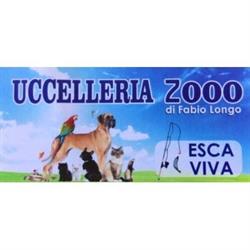 Uccelleria 2000 - Madagascarshop.it
