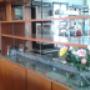 esposizione