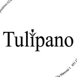 Tulipano Rosa