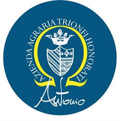 Trionfi Honorati Antonio