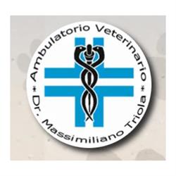 Veterinario Triola Dr. Massimiliano