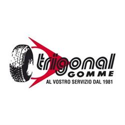 TRIGONAL GOMME SNC DI MOLETTA NATALINO & C.