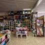 Gallery Professionale