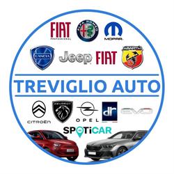 Treviglio Auto SRL