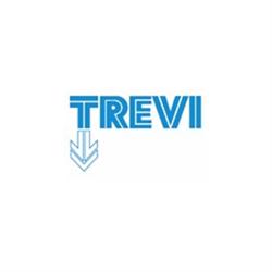 Trevi