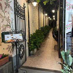 Ristorante Il Solitario