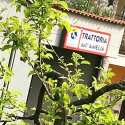 Trattoria Dall'amelia