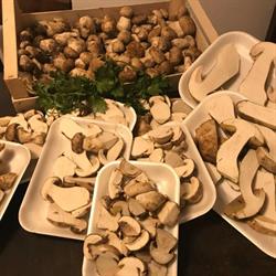 Trattoria Da Genio