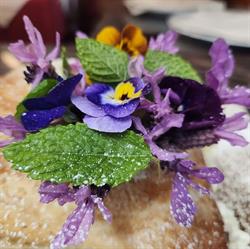 Ristorante Trattoria Bel Deuit