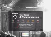 Trafilerie Di Valgreghentino SPA
