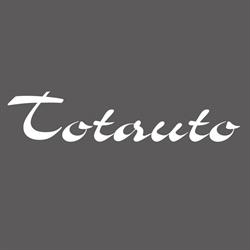 Totauto SRL