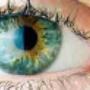 Oculista