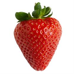 Tortifrutta SRL