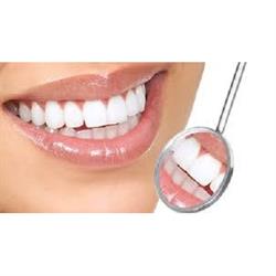 Torsello Dr. Stefano e Dr. Pietro Studio Dentistico