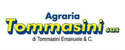 Tommasini SAS