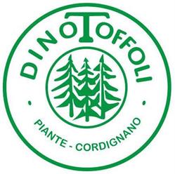 Toffoli Dino