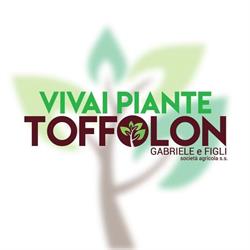 Toffolon Gabriele