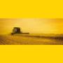 Ruote per Macchine Agricole