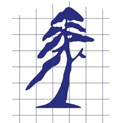 Timesis SRL