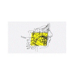 Studio Dentistico Vanni Paride Tieri