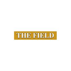 The Field