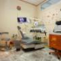 Gallery Professionale