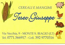 Teseo Giuseppe