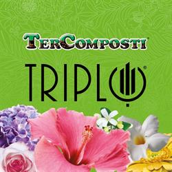 Tercomposti
