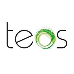 Teos Di Rosa Alessandro & C. SNC