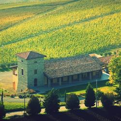 Tenuta Bonzara