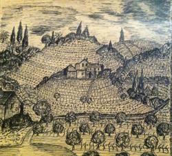 Tenuta Conte Romano Di Romano Pietro