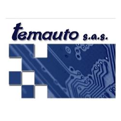 Temauto