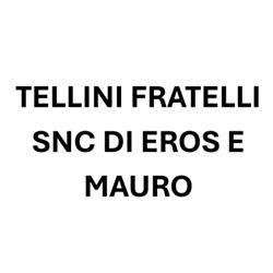 Tellini Fratelli Autofficina Snc di Eros e Mauro