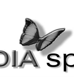 Tecnomedia (S.a.s.)