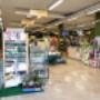 Gallery Professionale