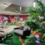 Gallery Professionale