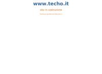 Techo SNC Di Coricelli m. & Flamini A.
