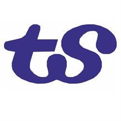 Team Service