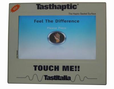 Tasthaptic