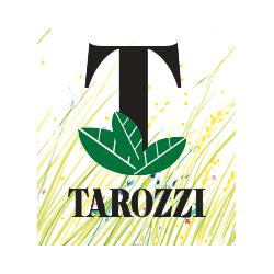 Tarozzi Enrico
