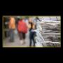 Distribuzione Target Progetto Immagine