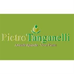 Vivai Tanganelli Pietro