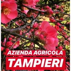 Tampieri Vivai - Garden