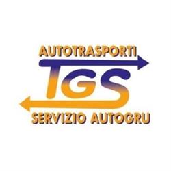 T.G.S. S.R.L