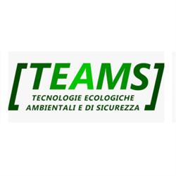 T.E.AM.S.