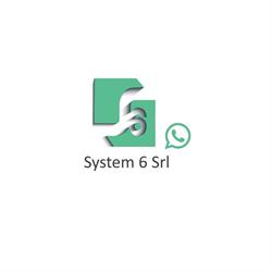 System 6 (Srl)
