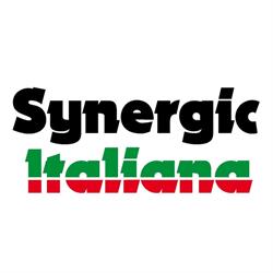 Synergic Italiana